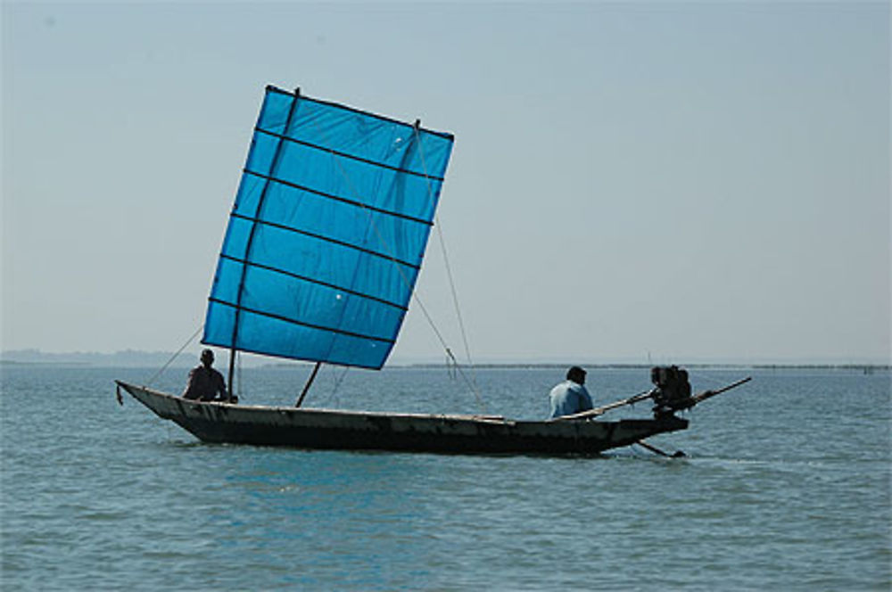 Lac de Chilika