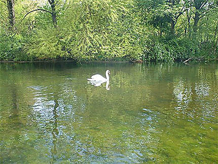 St James park