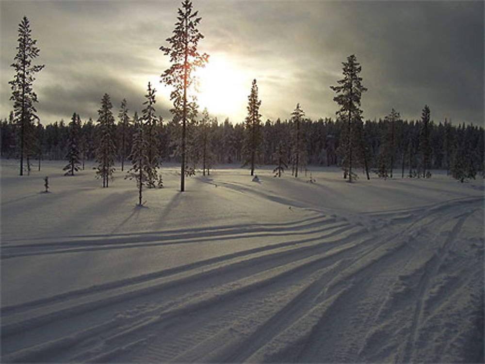 Piste de ski de fond, dans le région d'Akäslompolo