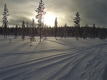 Piste de ski de fond, dans le région d'Akäslompolo