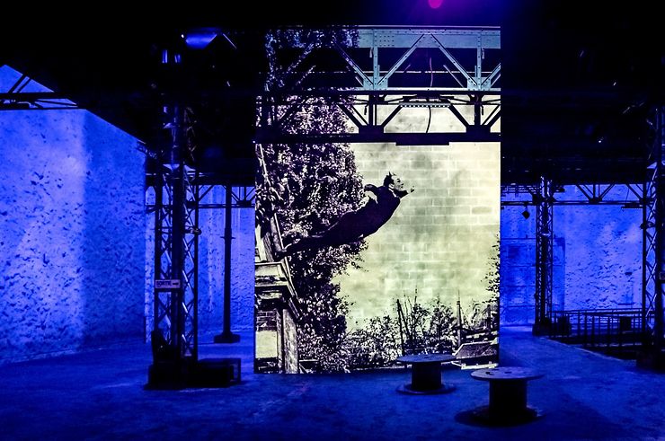 « Yves Klein, l’infini bleu » à l’Atelier des Lumières à Paris