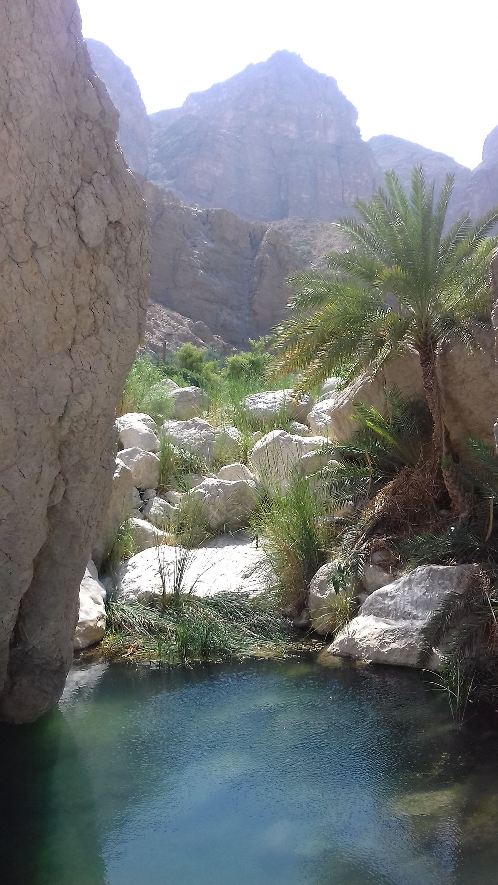 Wadi Tiwi