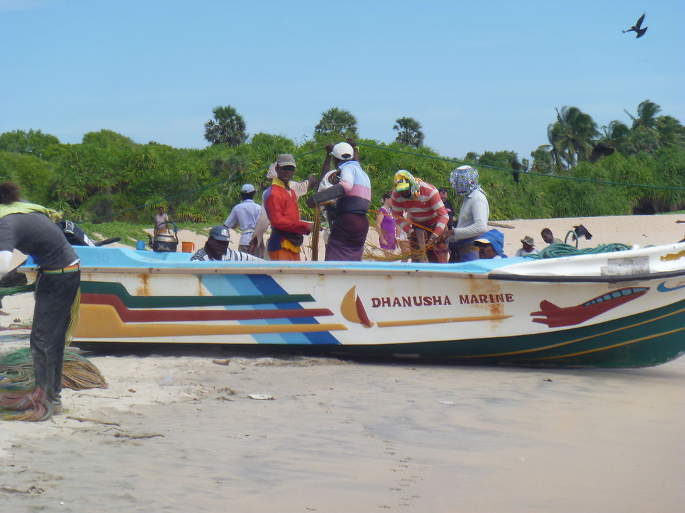 Les pêcheurs au matin sur la plage de Trincomalee