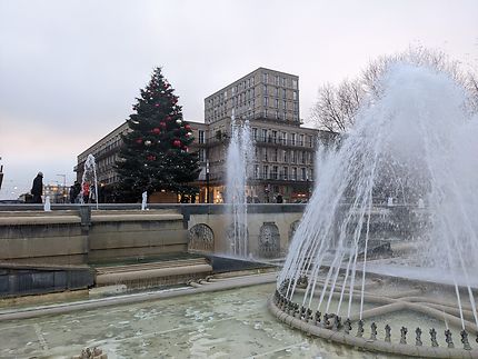 Sapin au Havre