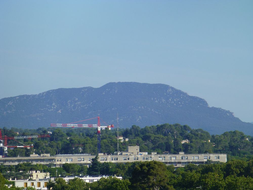 Pic Saint-Loup au loin, depuis le Peyrou