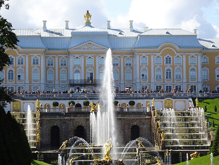 Dorures et jaune du palais de Peterhof