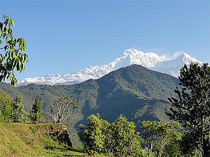 Vue sur Le Massif des Annapurnas