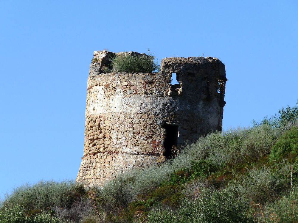 Tour Génoise de Sagone