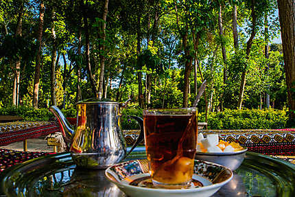 Un thé dans un jardin persan