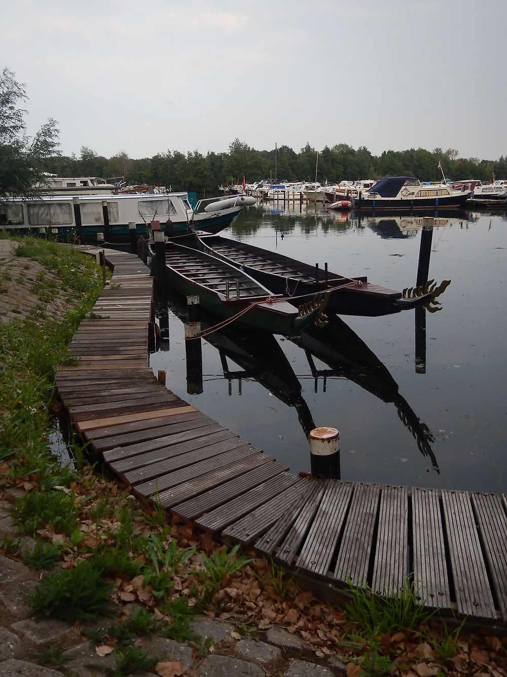 Le Haddock, petit port à Almere