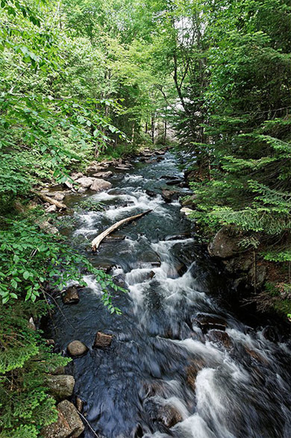 Rivière