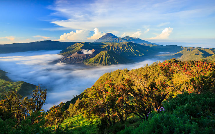 Volcan Bromo - Java, Indonésie