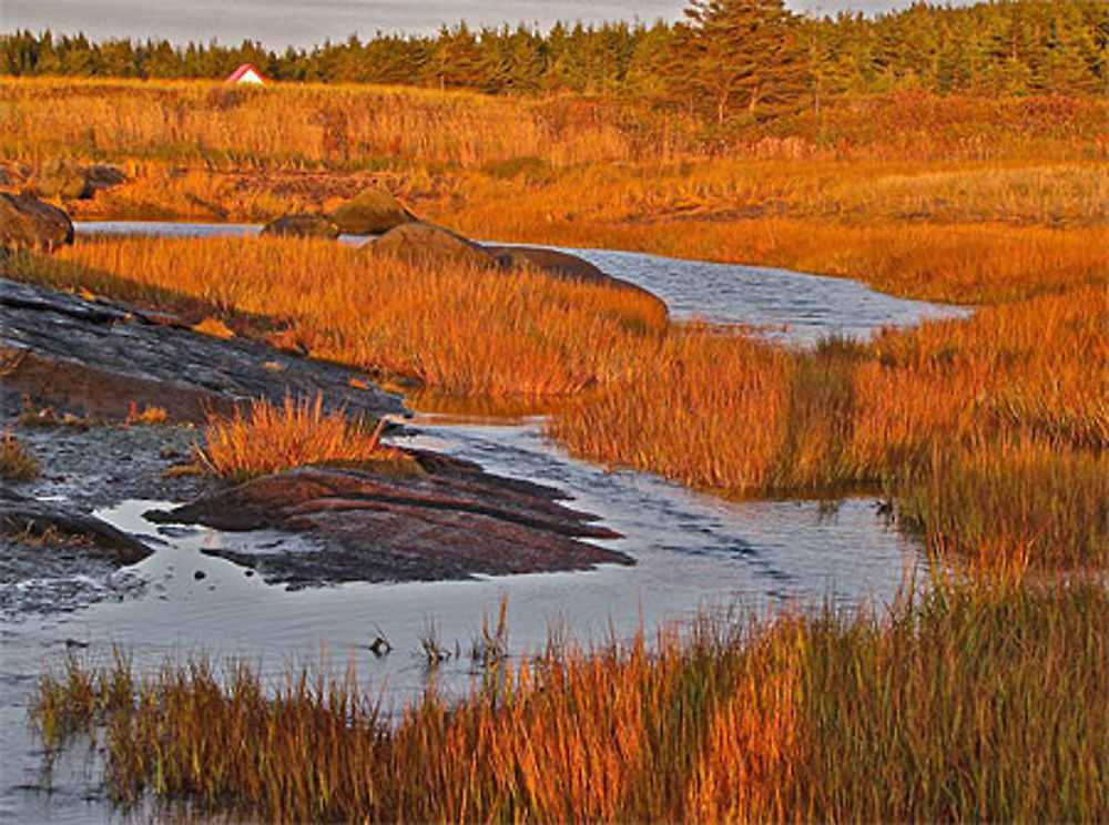 Quebec-Canada-ile Verte à l'automne-sunset