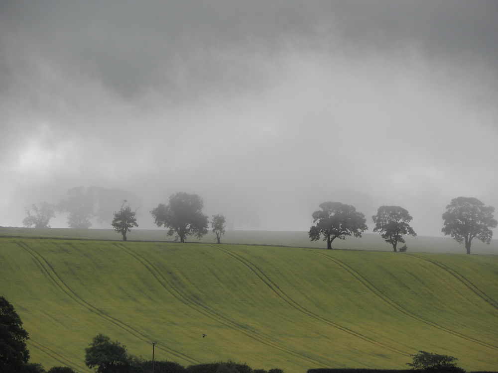 Paysage écossais