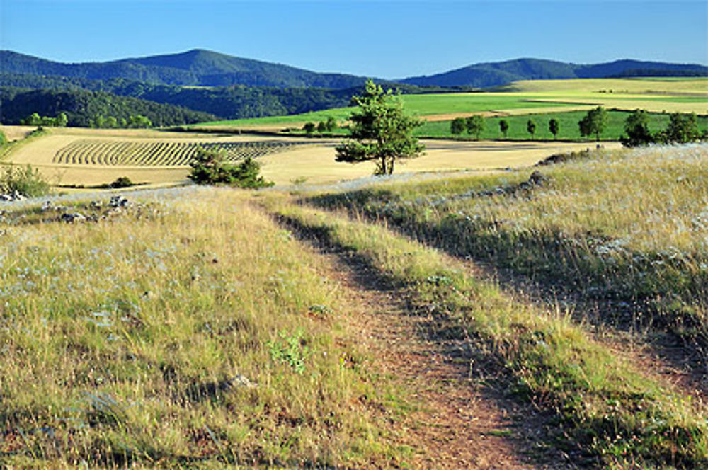 Sur le Causse