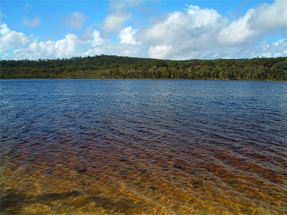 Brown Lake