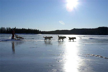 Traineau à chiens sur la rivière Ashuapmushuane Traineau à chiens sur la rivière Ashuapmushuane
