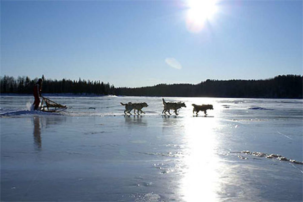 Traineau à chiens sur la rivière Ashuapmushuane