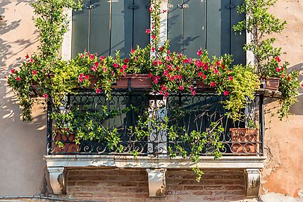 Guirlande de fleurs rouges sur petit balcon