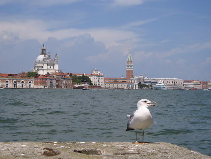 San Marco vu de la Giudecca