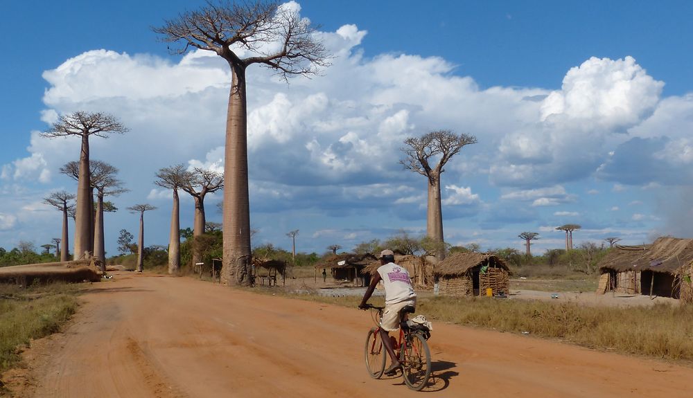 Terre rouge, Morondava, Madagascar