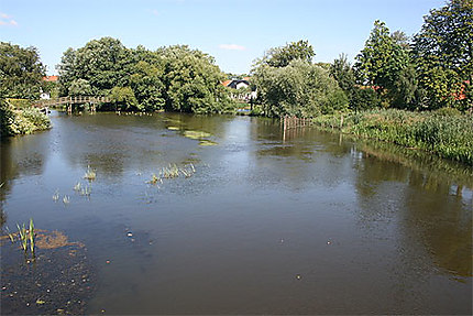 Un étang à Ribe