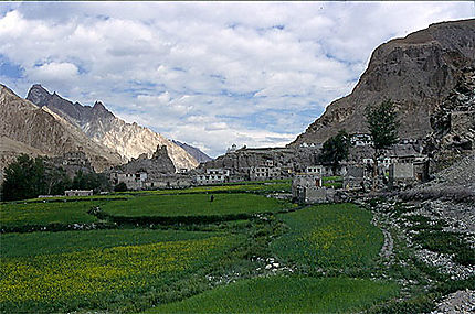 Quelque part au Ladakh