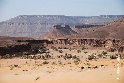 Agence Mauritanie