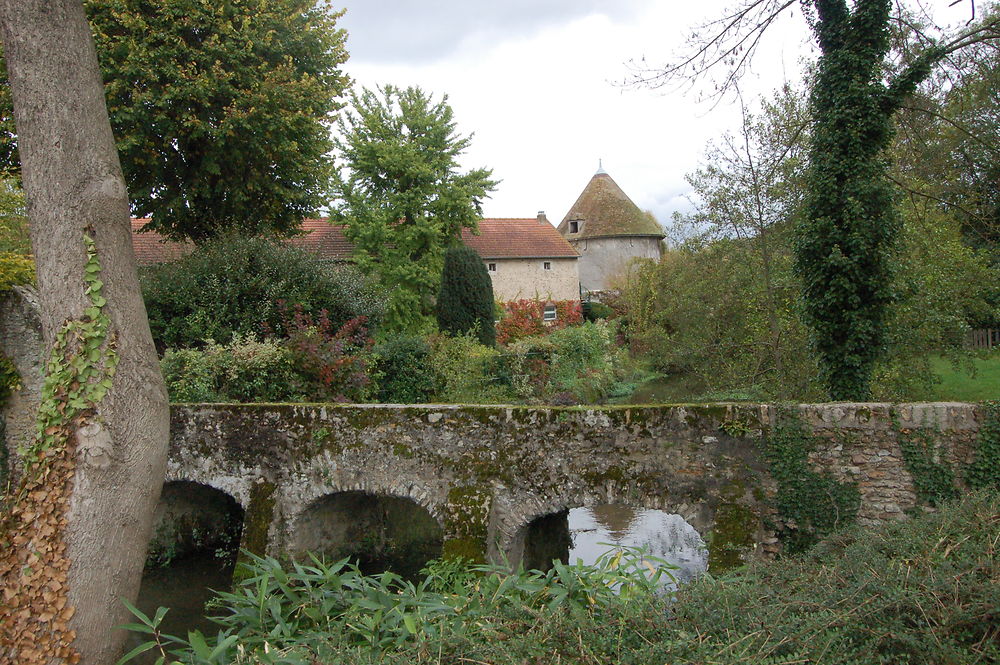 Santeny : colombier