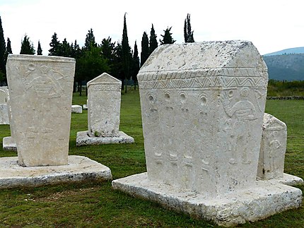 Nécropole de Radimlja (fin XIVème siècle)j
