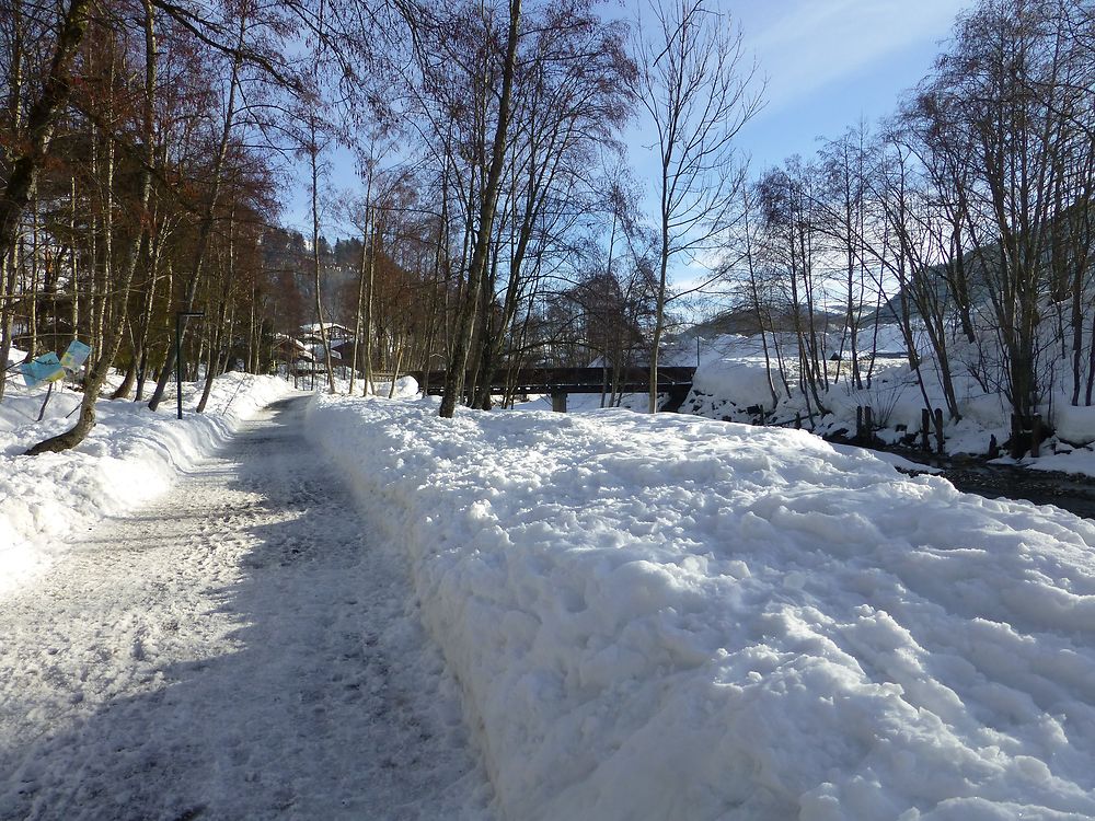 Le long de la rivière à  Praz-sur-Arly