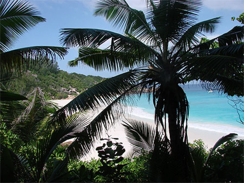 Plage grande anse