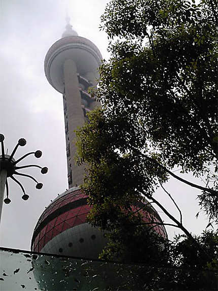 La tour bionique à Shanghai