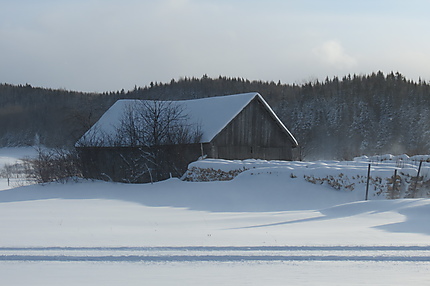 Bois de chauffage à St-Donat de Rimouski