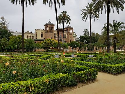 Les jardins de l'Alcazar de Séville... une beauté!