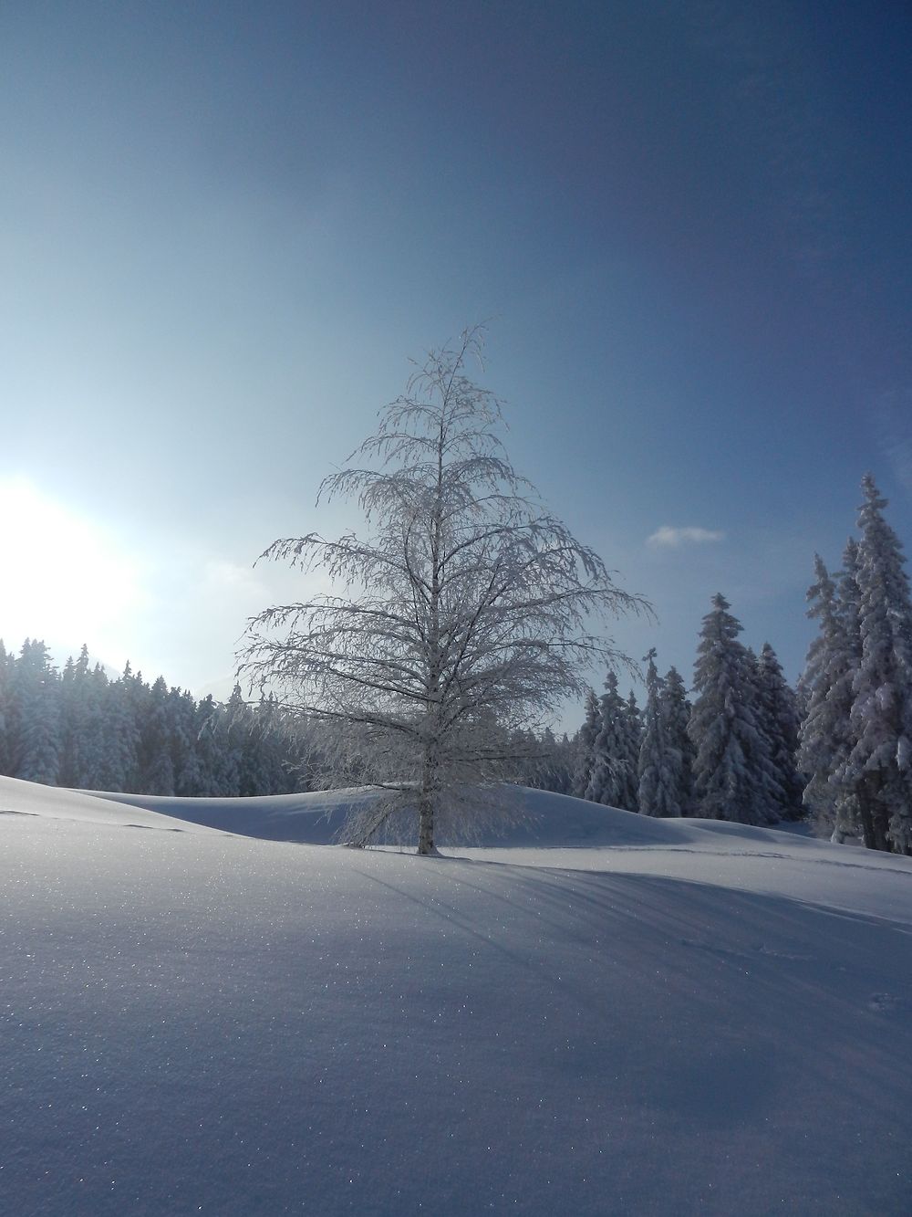 Neige à Corrençon en Vercors