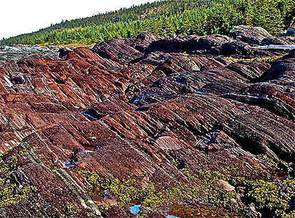 Quebec-Canada-ile Verte a l'automne-couleurs naturelles des roches de l'ile 