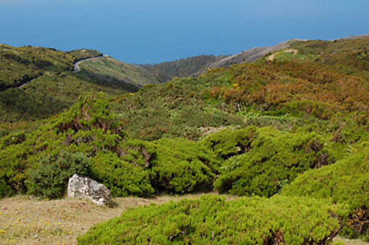 Le plateau Paul da Serra, un air d’Écosse ou de Corse ?