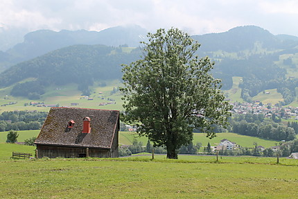 Paysage autour d'Appenzell