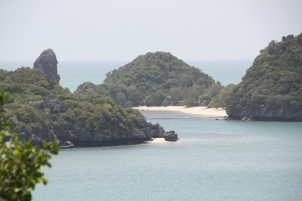 Ang thong