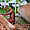 Artisanat traditionnel du bois, Papouasie