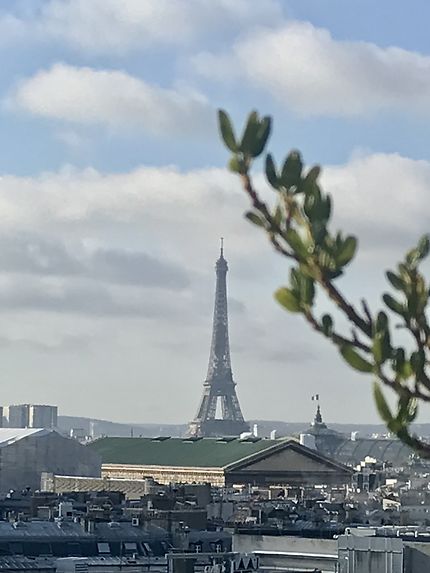 La Tour Eiffel grelotte vue depuis la Terrasse 