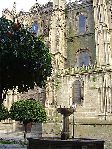 Cathédrale de Palencia 