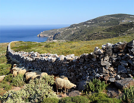 Le mur de Panurge Le mur de Panurge