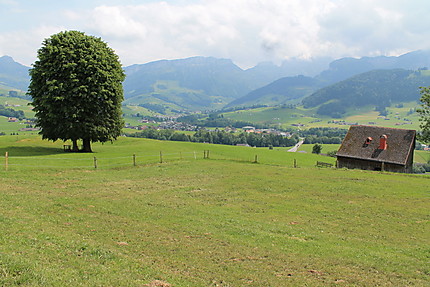 Campagne autour d'Appenzell