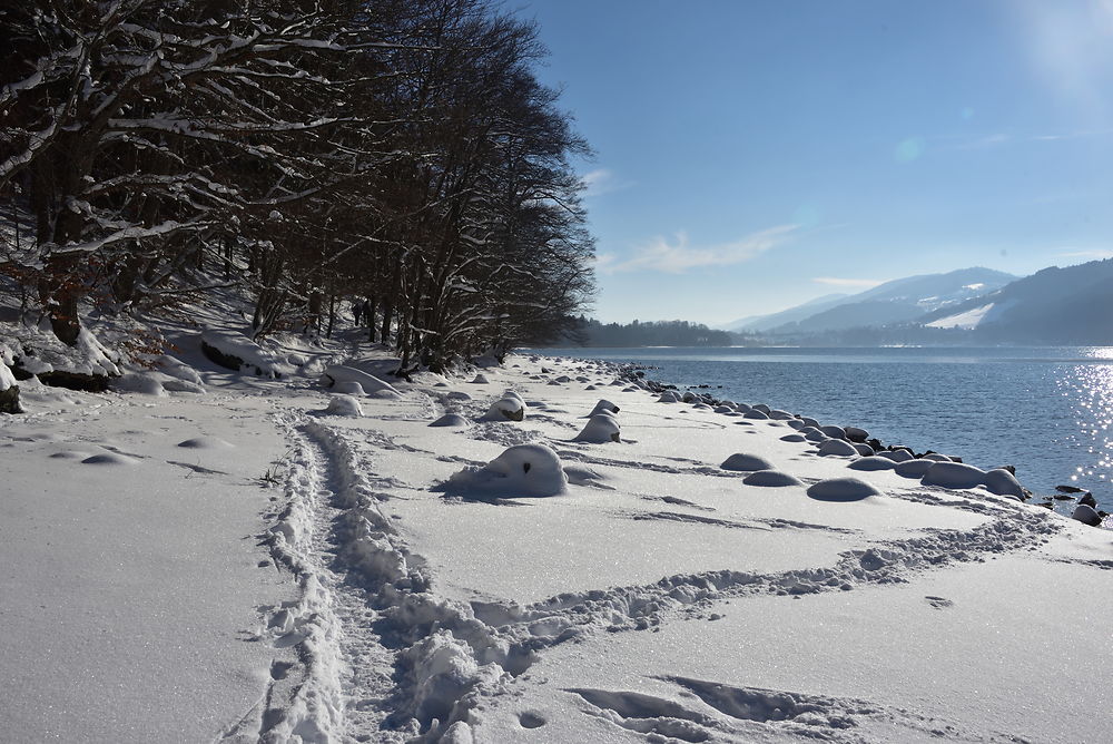 Bord du lac de Laffrey (Isère)