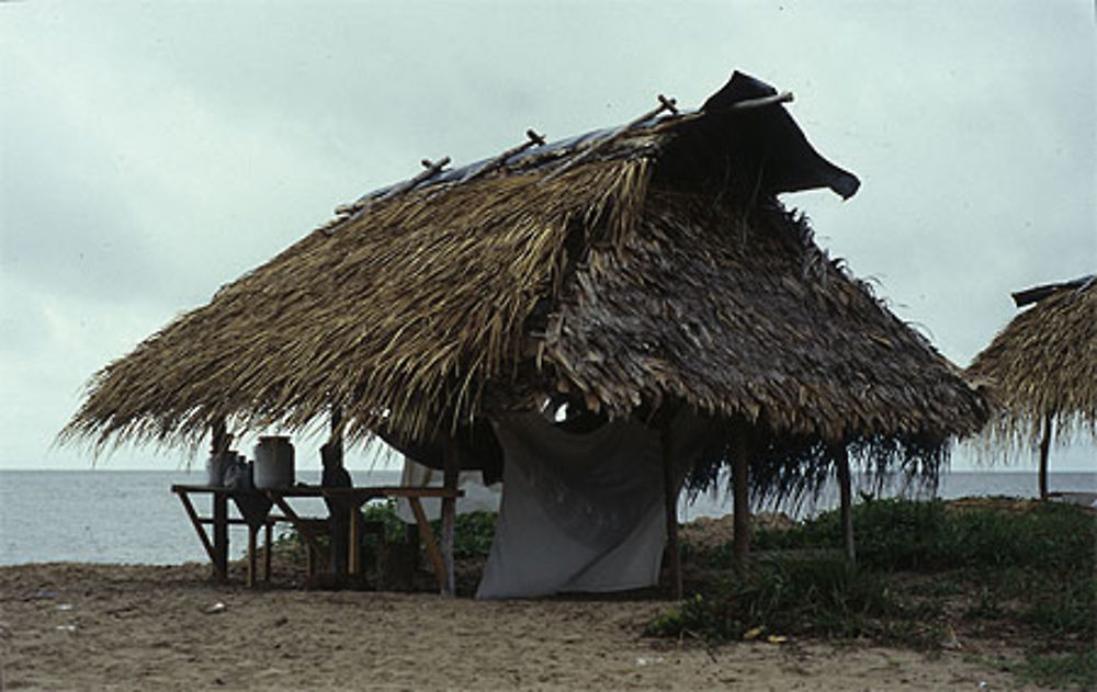 Un carbet sur la plage