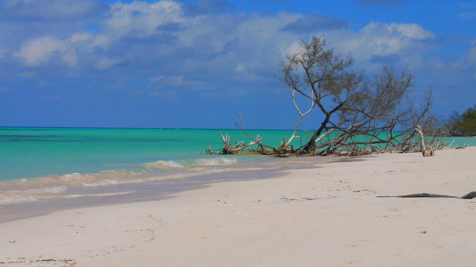Cayo levisa Cayo levisa