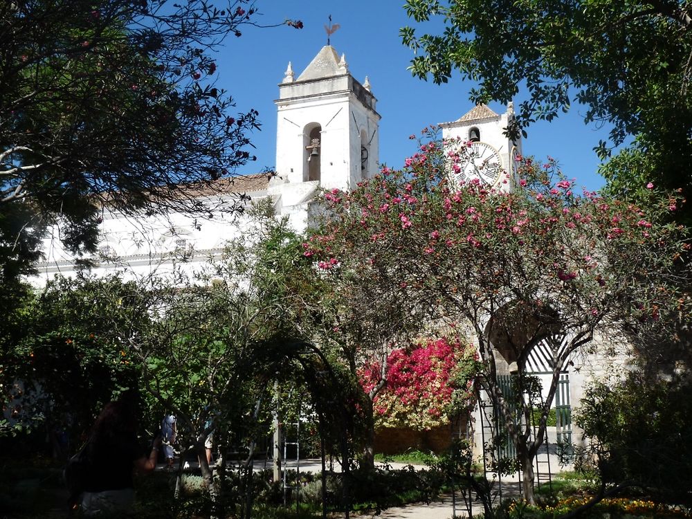 Jardin Tavira