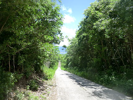 Les petites routes de l'intérieur à Marie-Galante